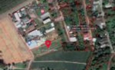 For sale land in Thalang, Phuket