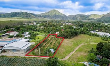 For sale land in Thalang, Phuket
