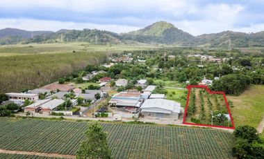 For sale land in Thalang, Phuket