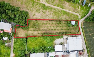 For sale land in Thalang, Phuket