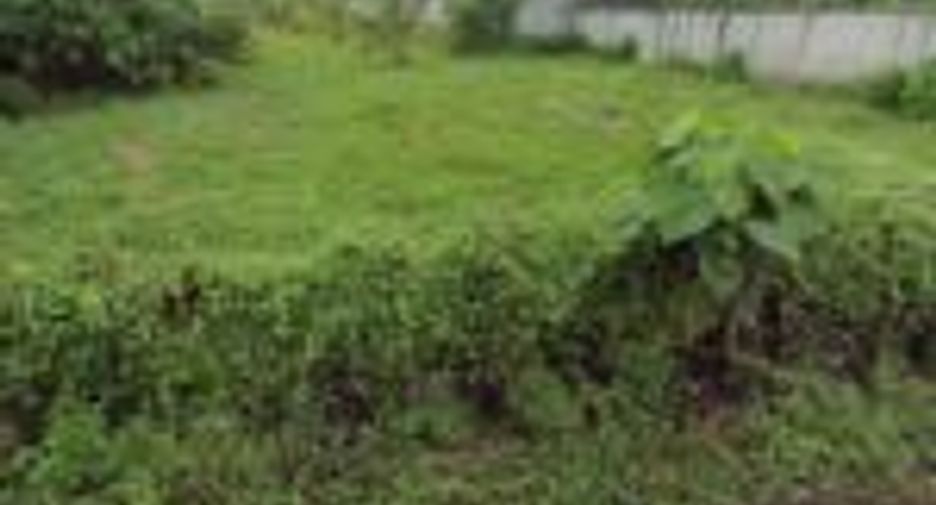 For sale land in Thalang, Phuket