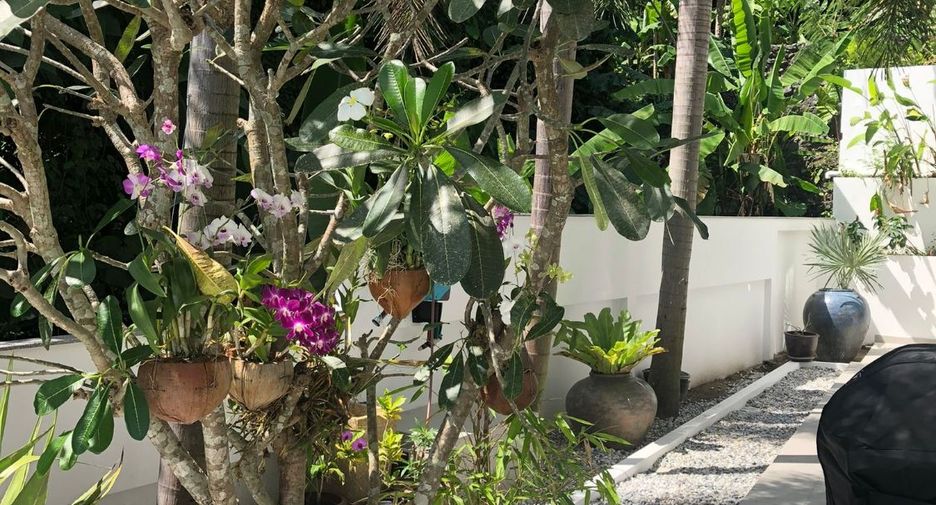 出租 和 出售 4 卧室 独立屋 在 Phuket Town, 普吉