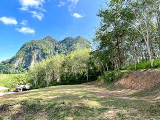 ขาย ที่ดิน ใน เมืองกระบี่, กระบี่