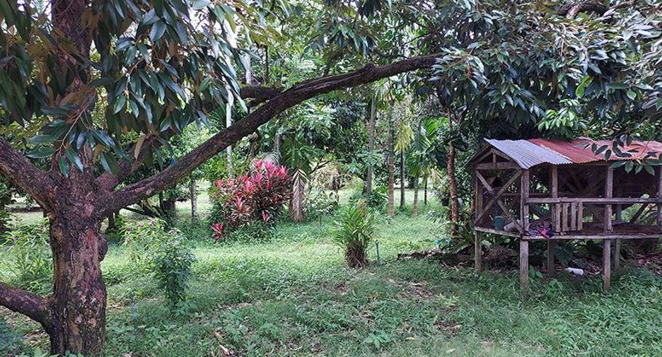 For sale 3 bedrooms retail Space in Klaeng, Rayong