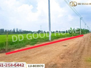 For rent land in Khlong Luang, Pathum Thani