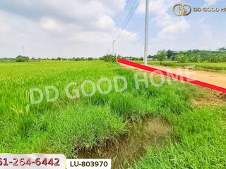For rent land in Khlong Luang, Pathum Thani