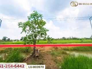 For rent land in Khlong Luang, Pathum Thani