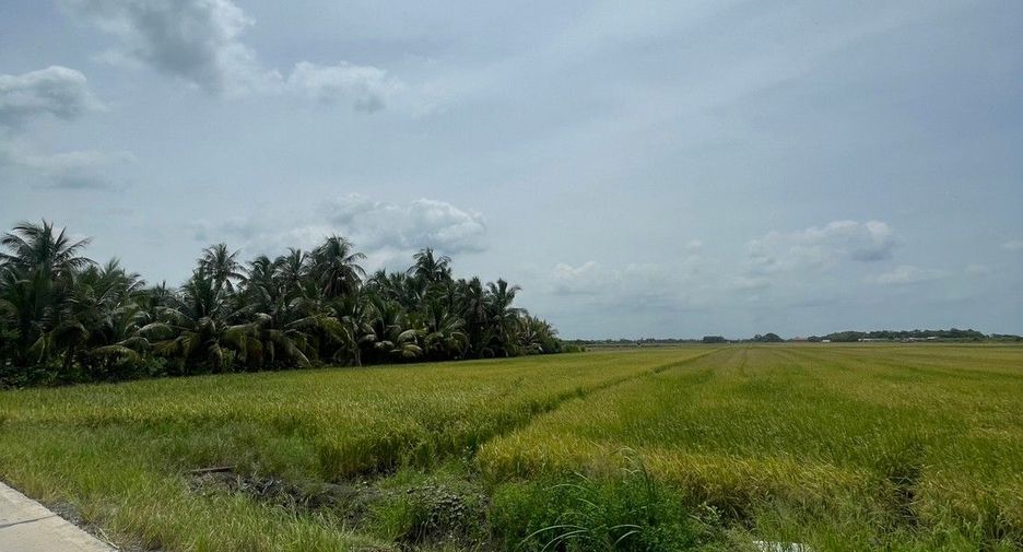 For sale land in Mueang Chachoengsao, Chachoengsao