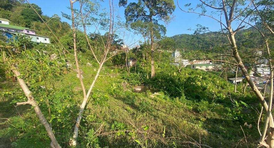 出售 土地 在 Kathu, 普吉