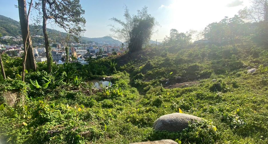 出售 土地 在 Kathu, 普吉