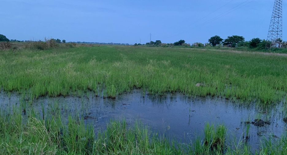 For sale land in Uthai, Phra Nakhon Si Ayutthaya