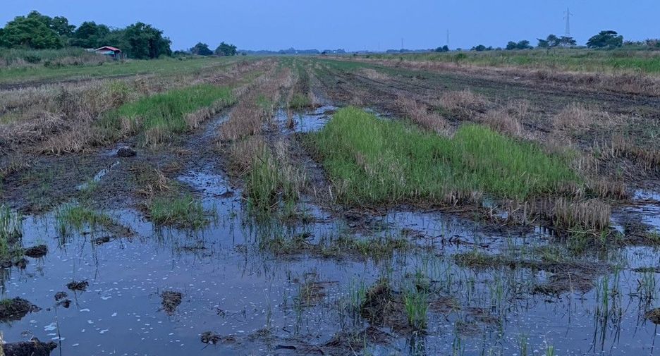 For sale land in Uthai, Phra Nakhon Si Ayutthaya