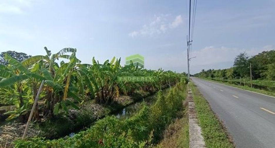 Продажа Участок в Phutthamonthon, Накхонпатхом