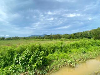 For sale land in Thalang, Phuket