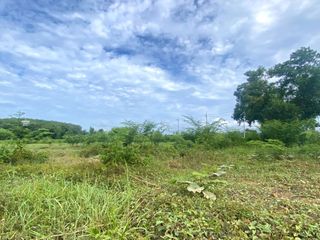 For sale land in Thalang, Phuket
