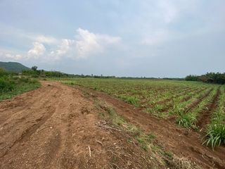 Продажа Участок в Si Thep, Phetchabun