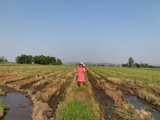 ขาย ที่ดิน ใน เชียงคำ, พะเยา