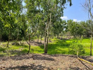 For sale land in Mueang Prachinburi, Prachin Buri
