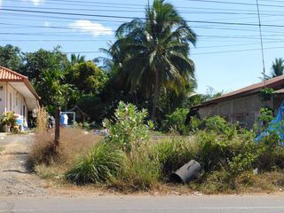 For sale land in Nam Yuen, Ubon Ratchathani