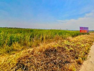 For sale land in Non Thai, Nakhon Ratchasima