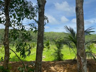 For sale land in Takua Thung, Phang Nga
