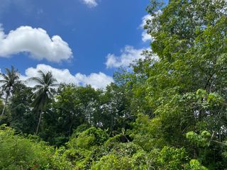 For sale land in Takua Thung, Phang Nga