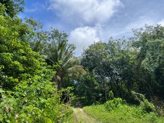 For sale land in Takua Thung, Phang Nga