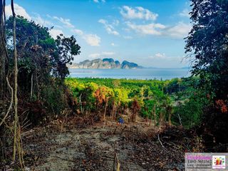 For sale land in Takua Thung, Phang Nga