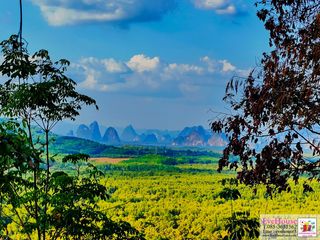 For sale land in Takua Thung, Phang Nga