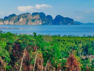 For sale land in Takua Thung, Phang Nga