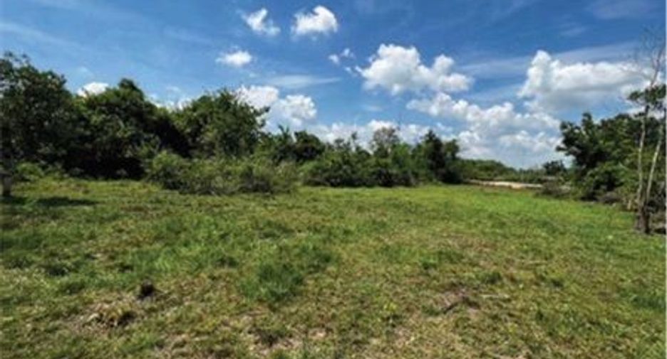 For sale land in Khlong Hoi Khong, Songkhla