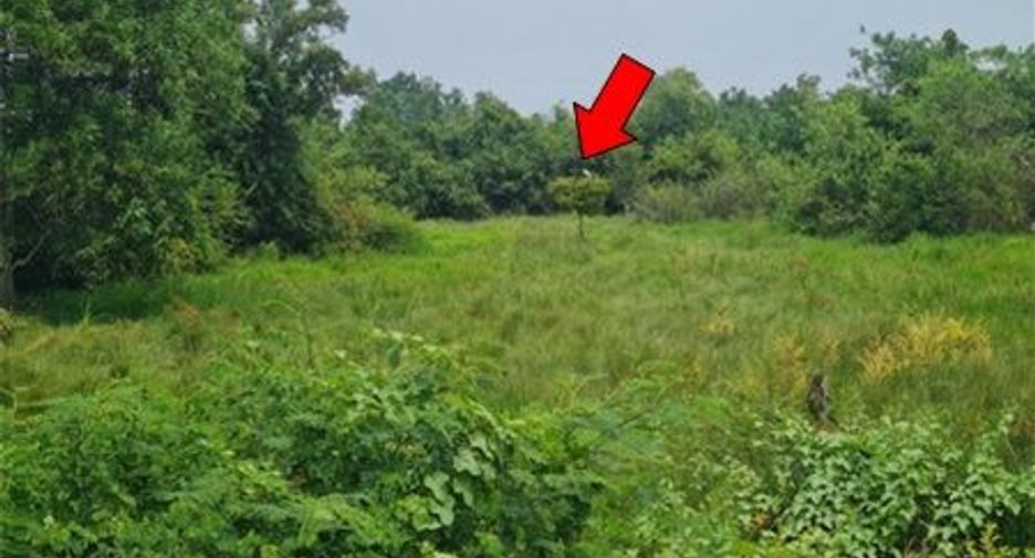 For sale land in Khlong Hoi Khong, Songkhla