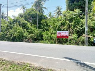 ขาย ที่ดิน ใน เหนือคลอง, กระบี่
