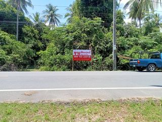 ขาย ที่ดิน ใน เหนือคลอง, กระบี่