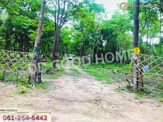 For sale land in Mueang Tak, Tak