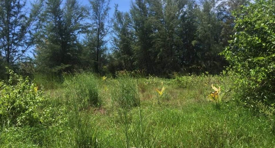 For sale land in Khura Buri, Phang Nga