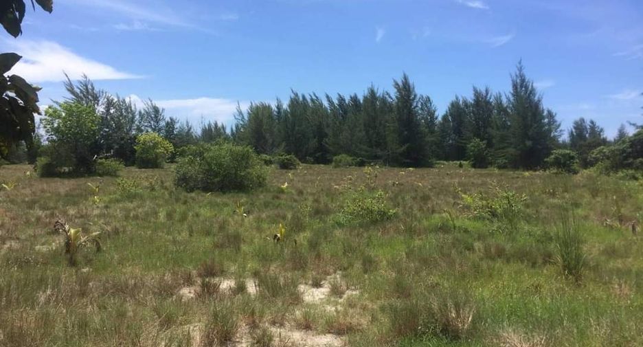 For sale land in Khura Buri, Phang Nga