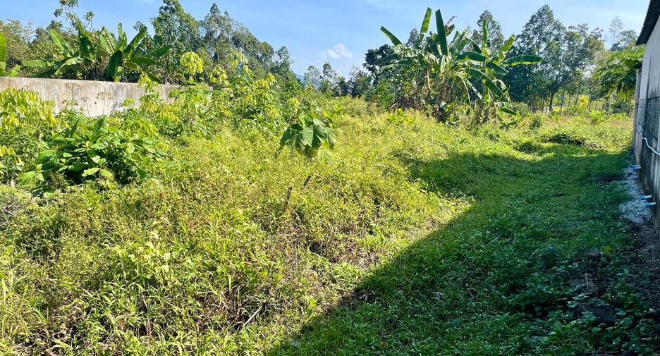 For sale land in Takua Thung, Phang Nga