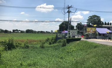 For sale land in In Buri, Sing Buri
