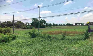 For sale land in In Buri, Sing Buri