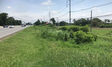 For sale land in In Buri, Sing Buri