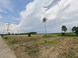 For sale land in Ko Chan, Chonburi