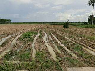 For sale land in Ko Chan, Chonburi