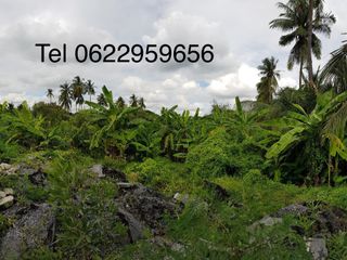For sale land in Bang Khae, Bangkok