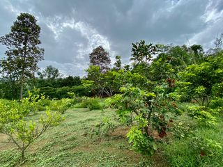 Terreno en venta en Mae Taeng, Chiang Mai