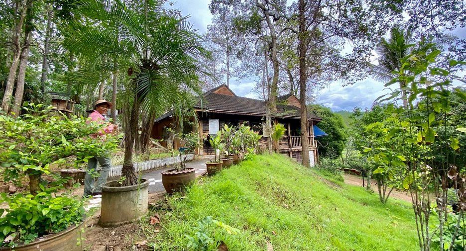 出售 土地 在 Mae Taeng, Chiang Mai