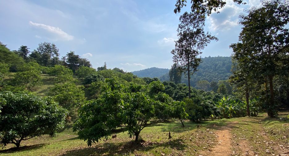 出售 土地 在 Mae Taeng, Chiang Mai
