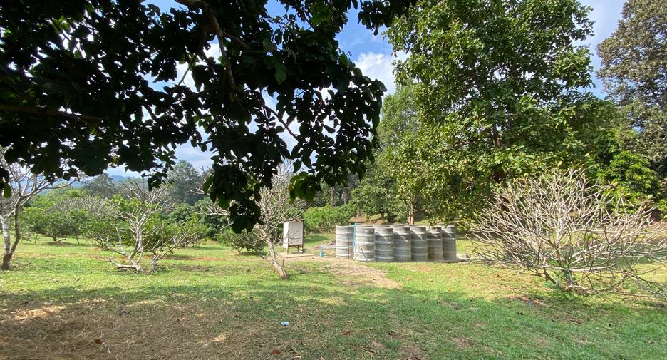 出售 土地 在 Mae Taeng, Chiang Mai