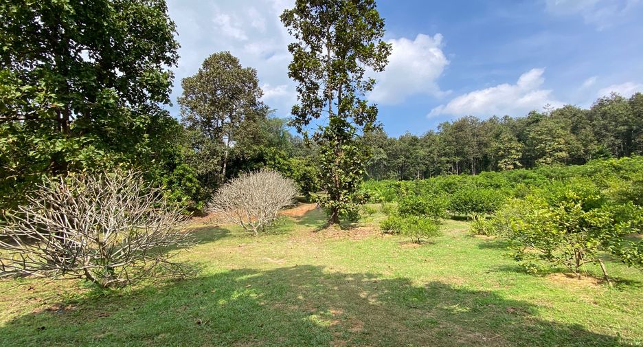 出售 土地 在 Mae Taeng, Chiang Mai