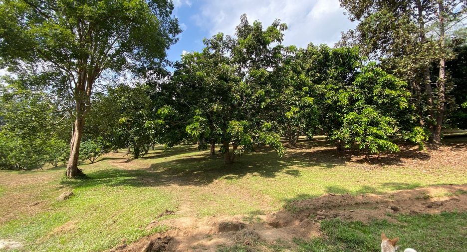 出售 土地 在 Mae Taeng, Chiang Mai
